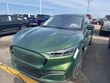  Ford Mustang Mach-E