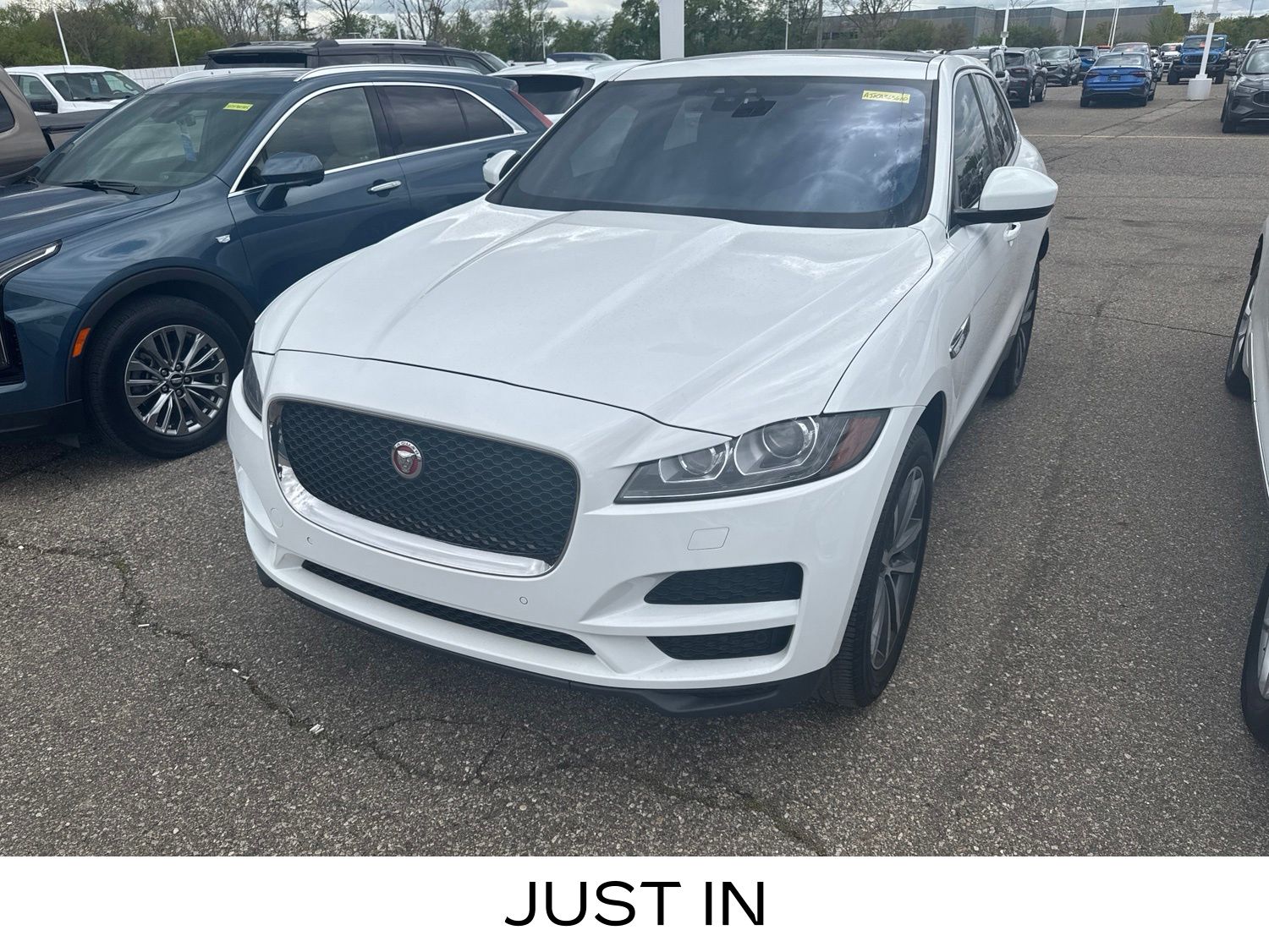 2019 Jaguar F-Pace Prestige -
                  Sterling Heights, MI