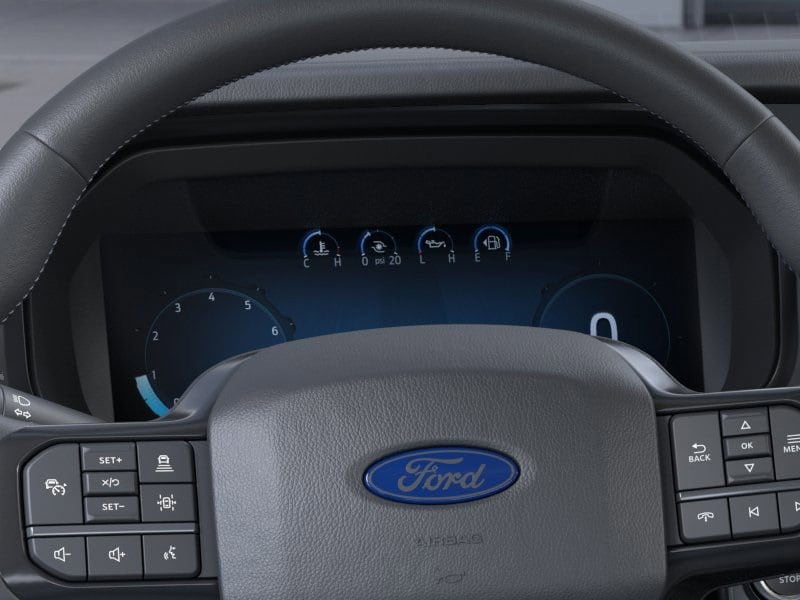 2025 Ford F-150 Platinum 13