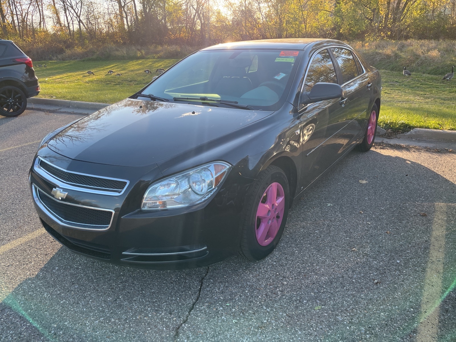 Used 2008 Chevrolet Malibu LS with VIN 1G1ZG57B984281560 for sale in Sterling Heights, MI