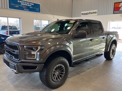 2019 Ford F-150 Raptor Truck in Waterford, MI