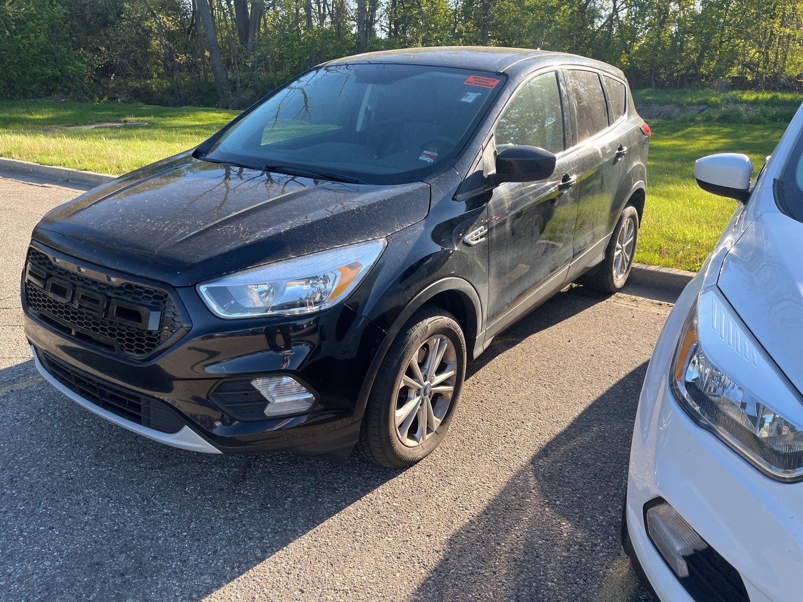 2019 Ford Escape SE -
                  Sterling Heights, MI