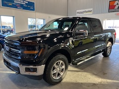 2024 Ford F-150 XLT Truck in Waterford, MI