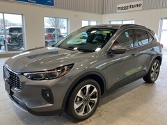 2024 Ford Escape Platinum SUV in Waterford, MI