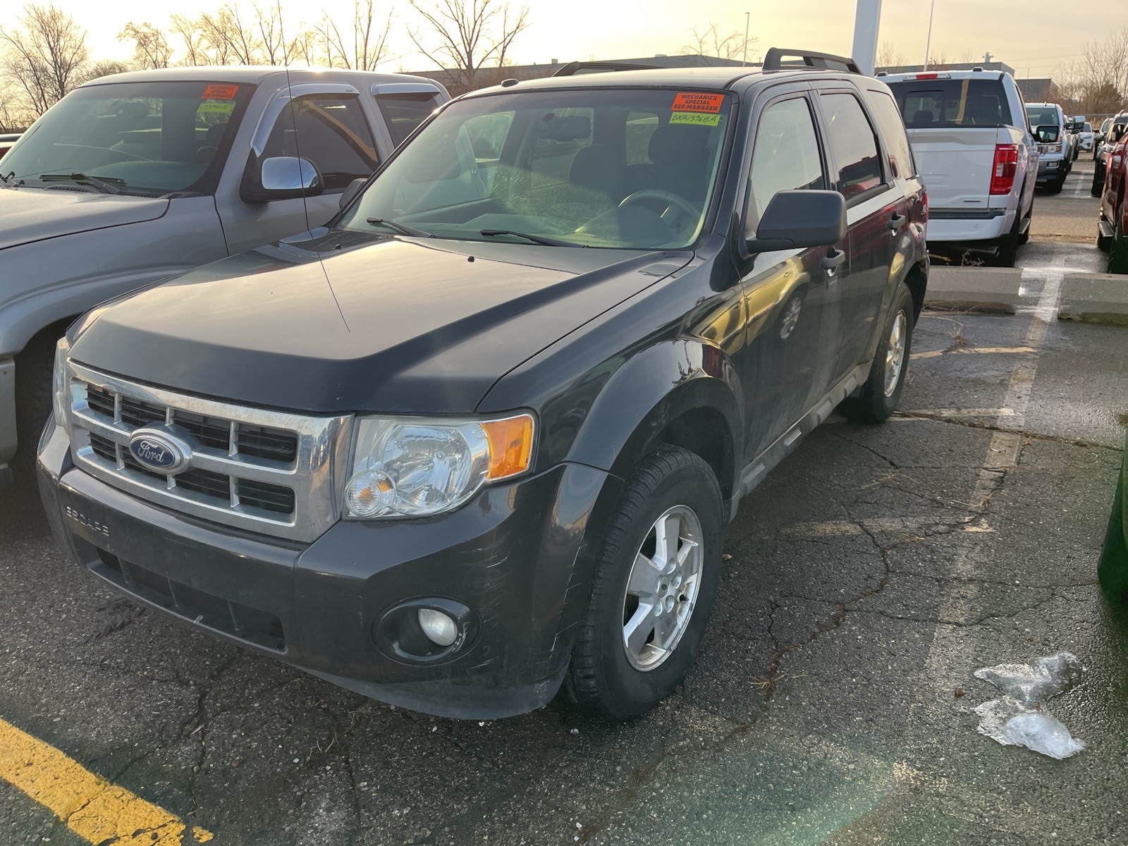 2011 Ford Escape XLT's photo