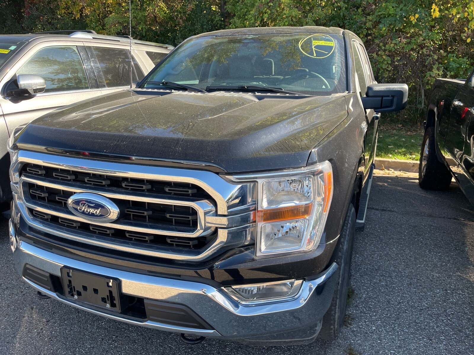 2023 Ford F-150 XLT photo 3