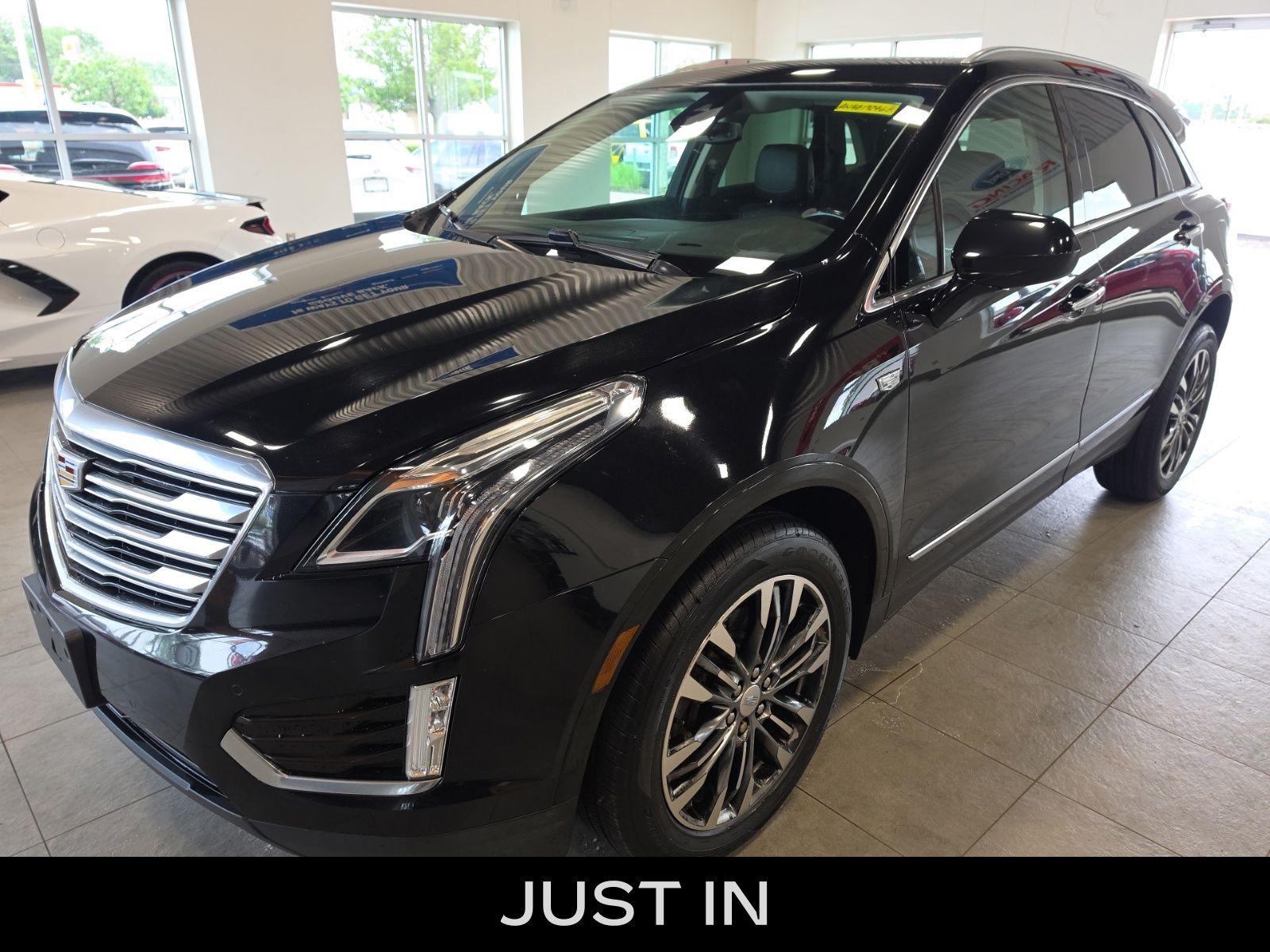 2017 Cadillac XT5 Premium Luxury -
                  Sterling Heights, MI
