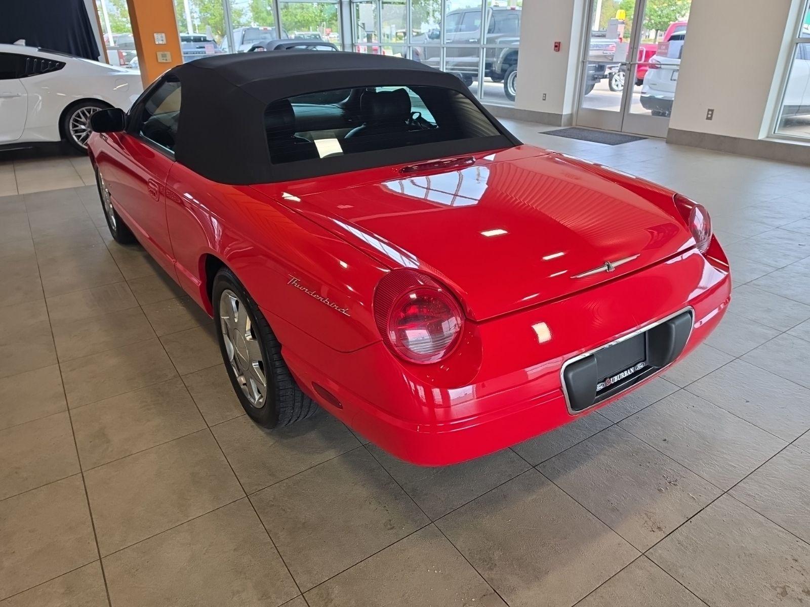 Photo 11