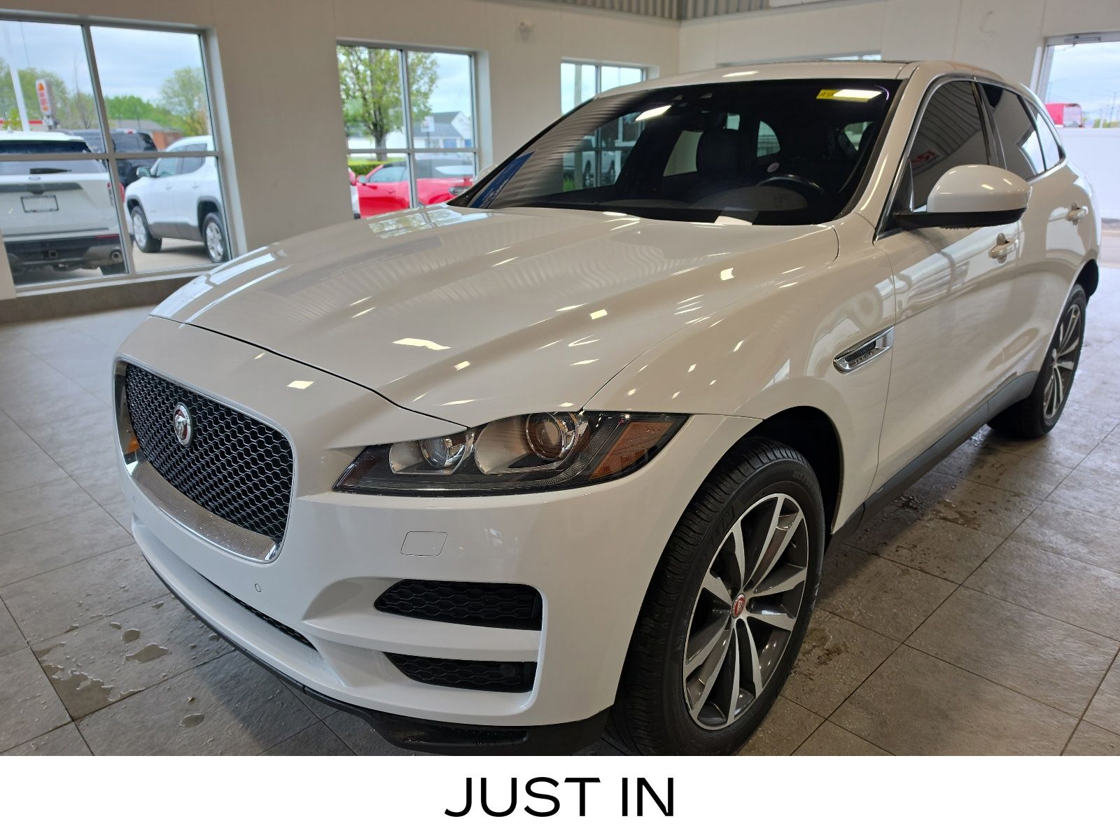 Thumbnail: 2019 Jaguar F-Pace - 1