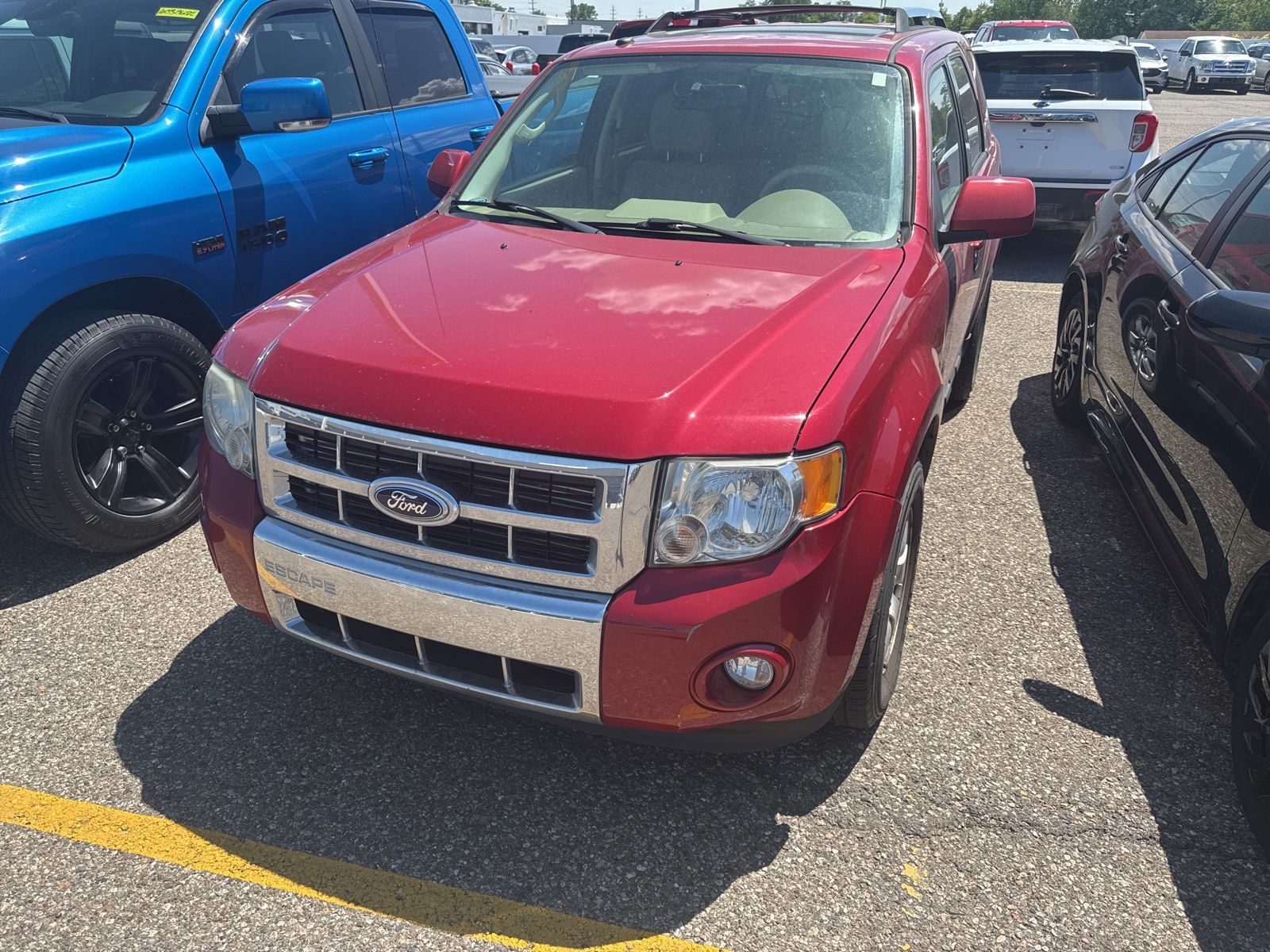 2011 Ford Escape Limited -
                  Sterling Heights, MI