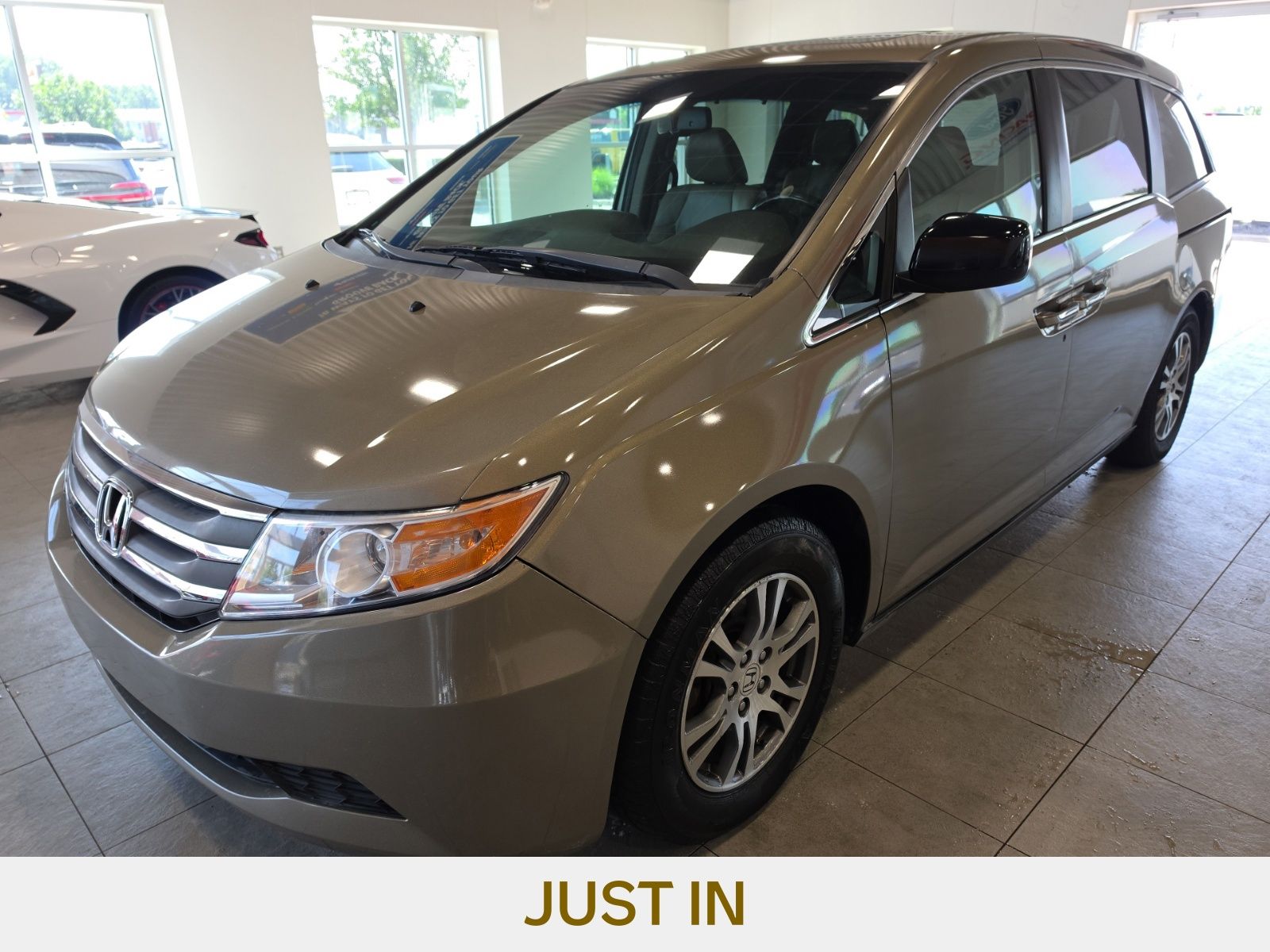 2011 Honda Odyssey EX-L -
                  Sterling Heights, MI