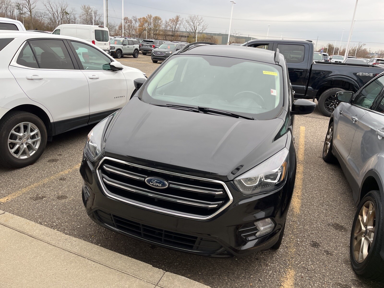 2019 Ford Escape SE photo 3