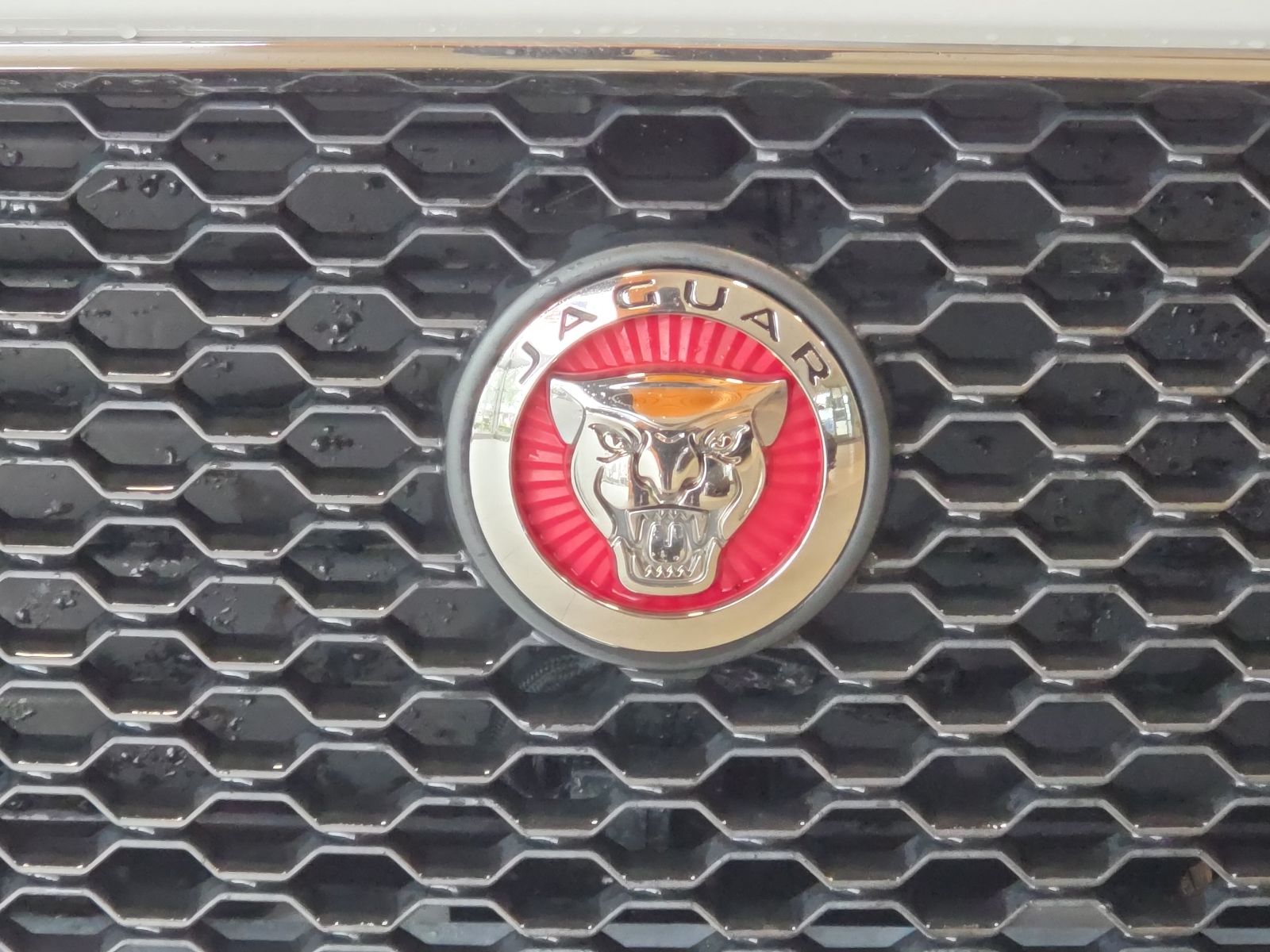 Thumbnail: 2019 Jaguar F-Pace - 4