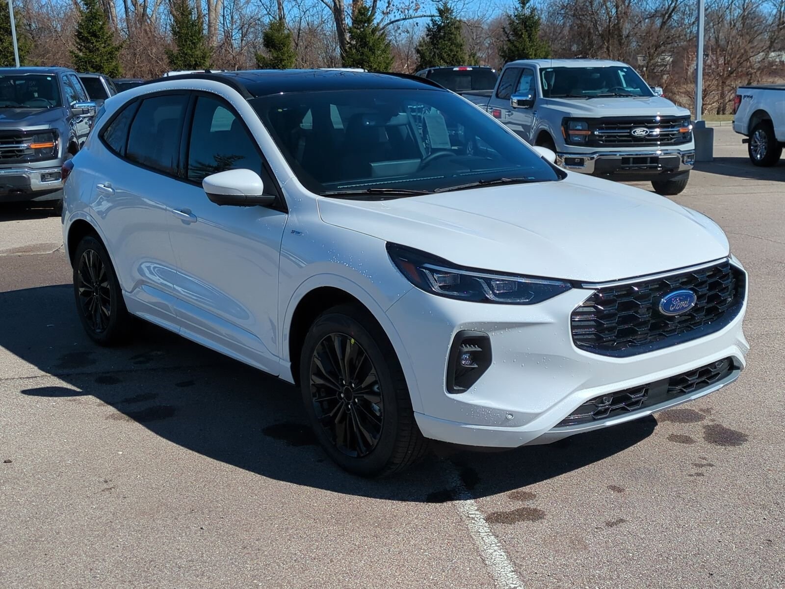 2025 Ford Escape Hybrid ST-Line Elite photo 2