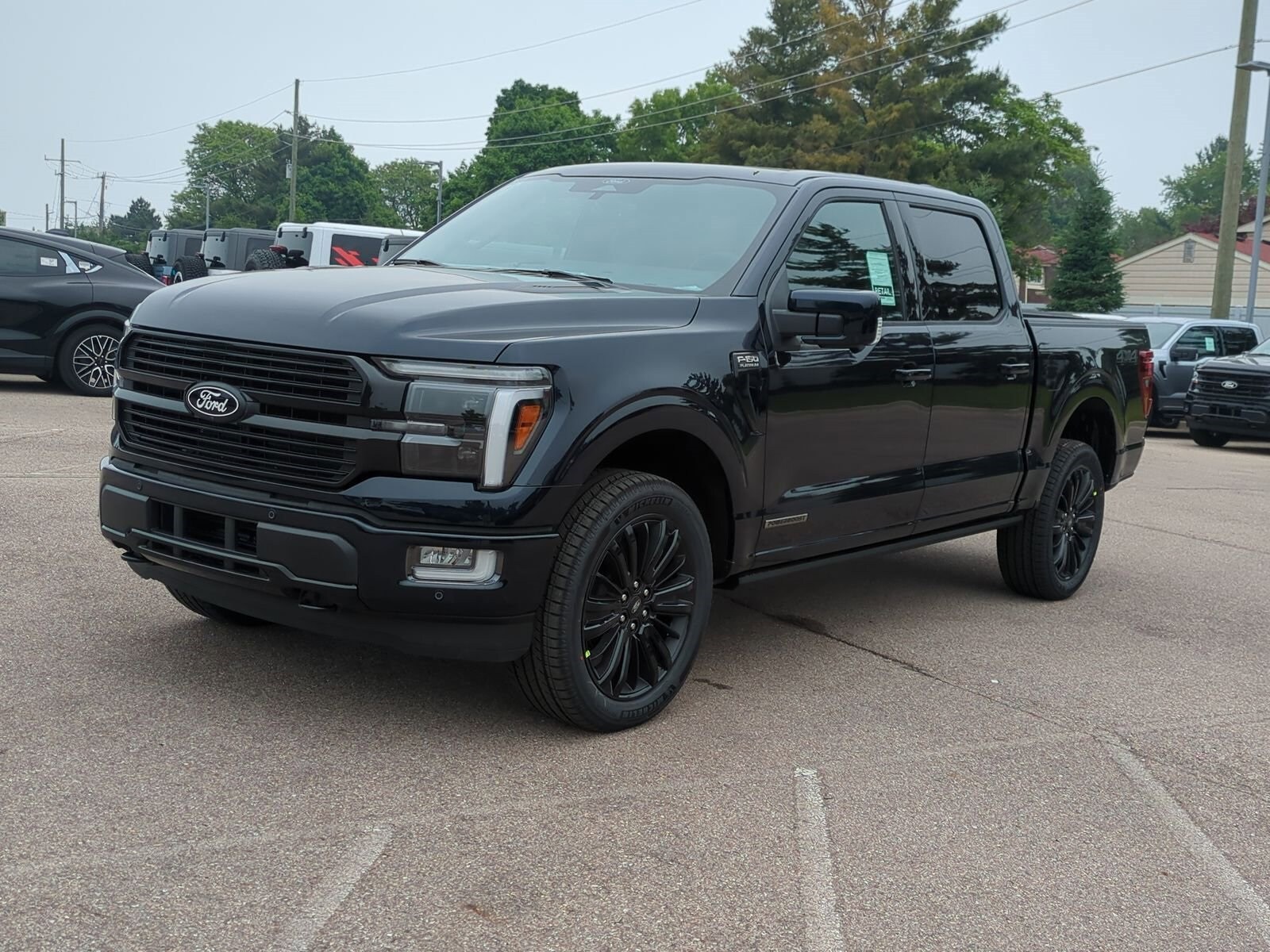 2025 Ford F-150 Platinum photo 4