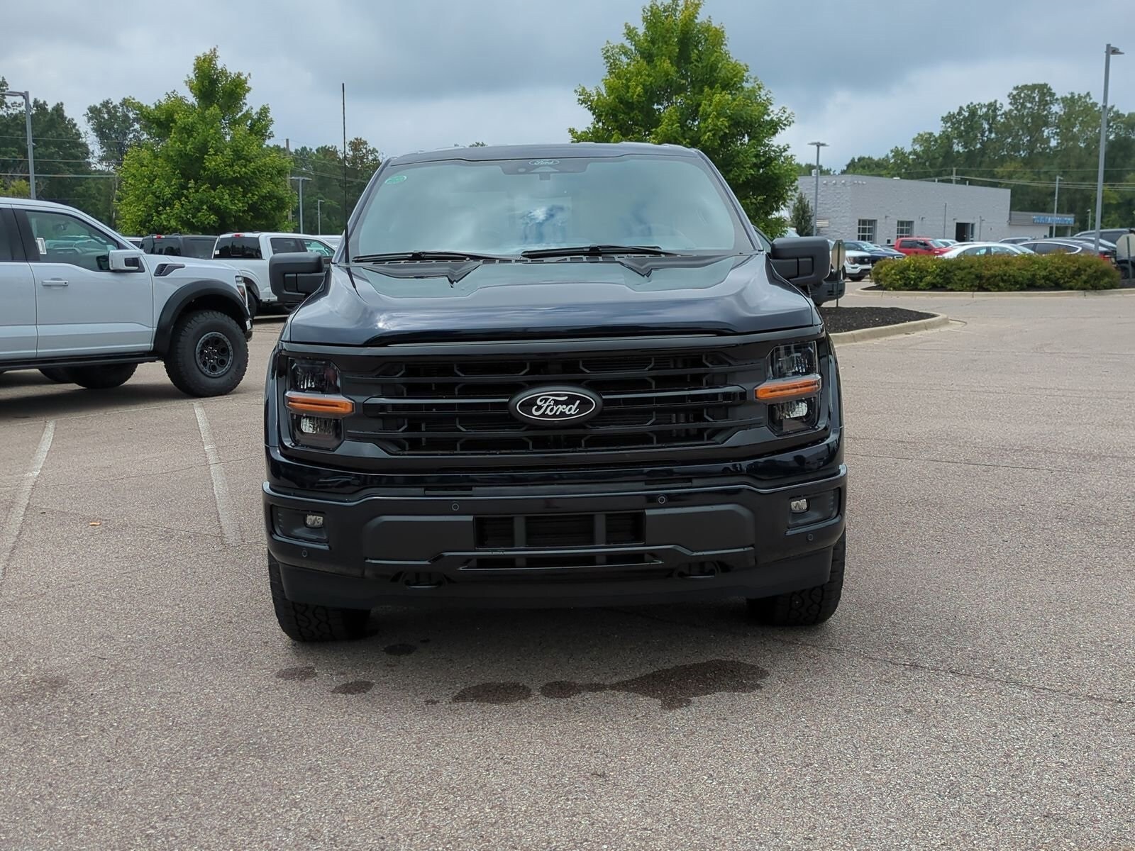 2025 Ford F-150 XLT photo 3