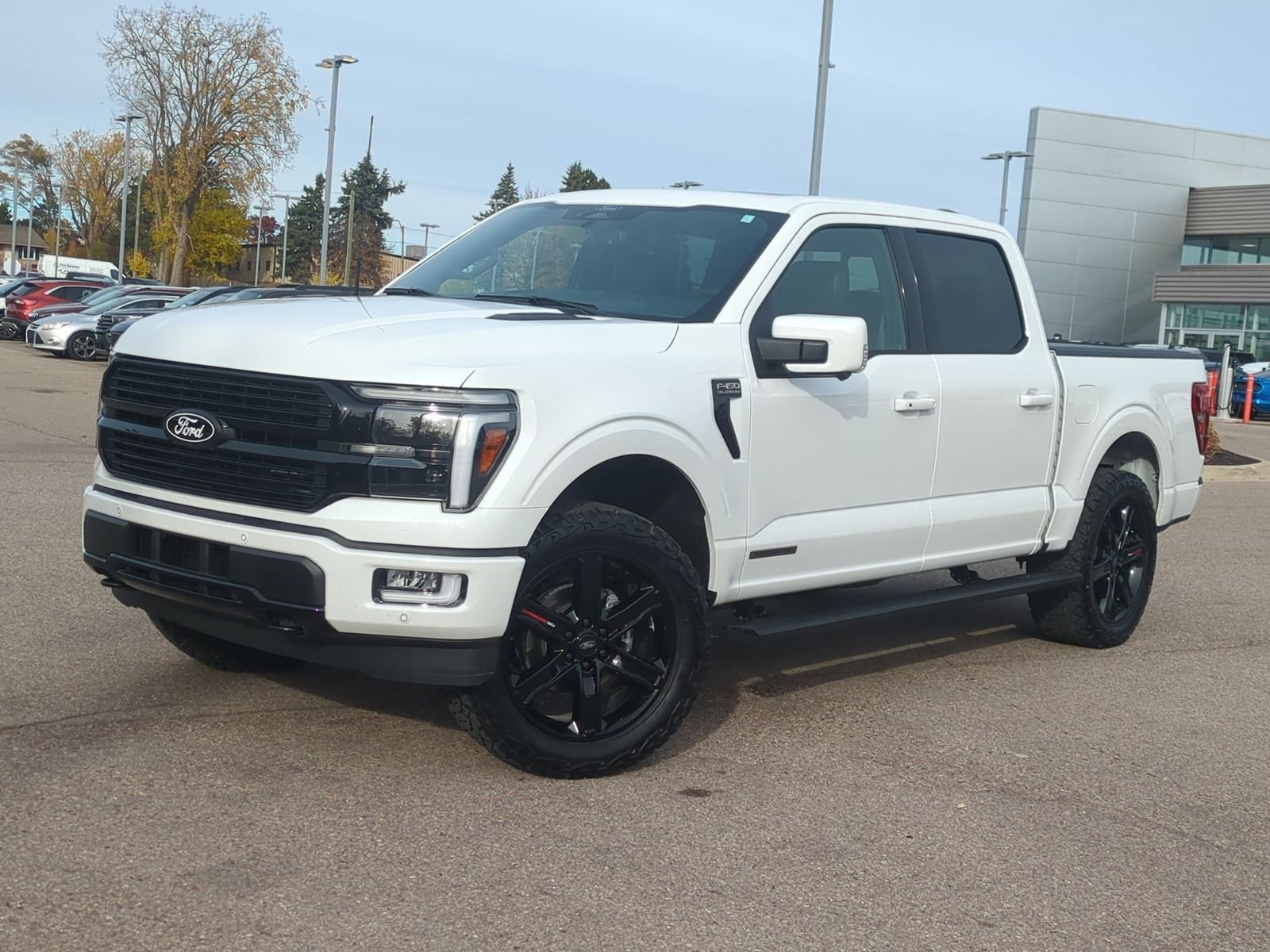 2025 Ford F-150 Platinum's photo