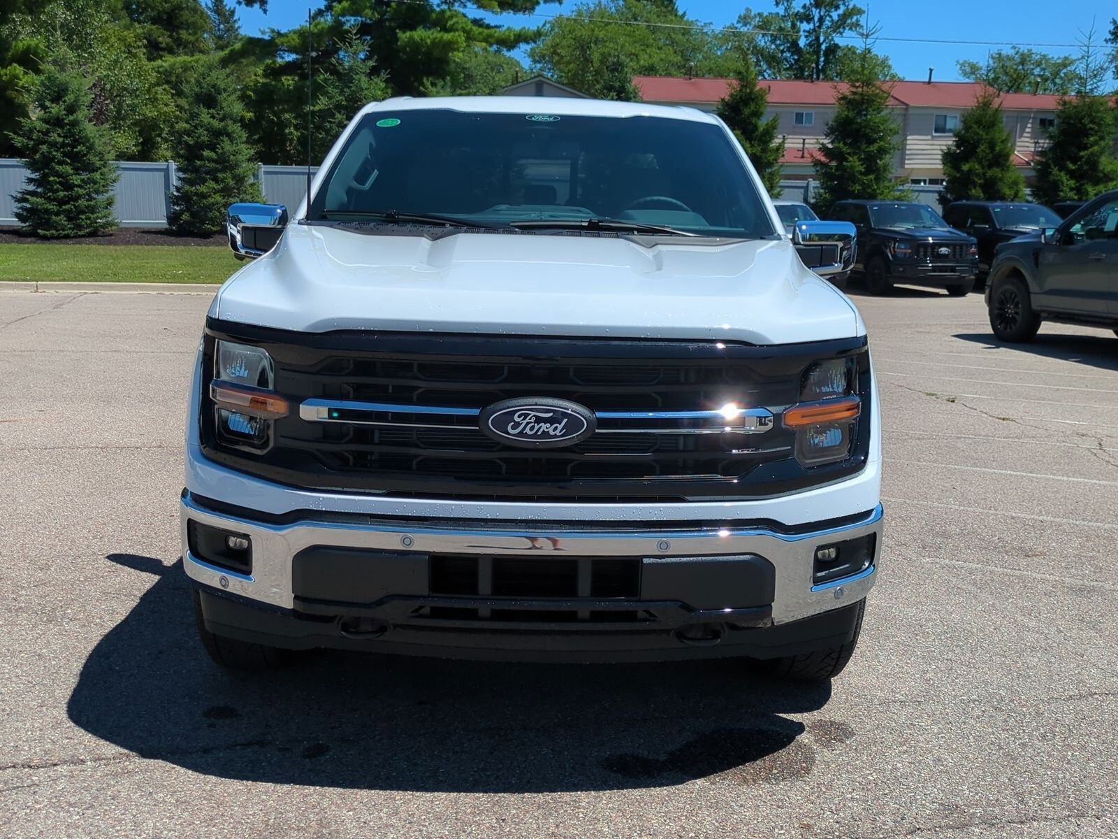 2025 Ford F-150 XLT photo 3