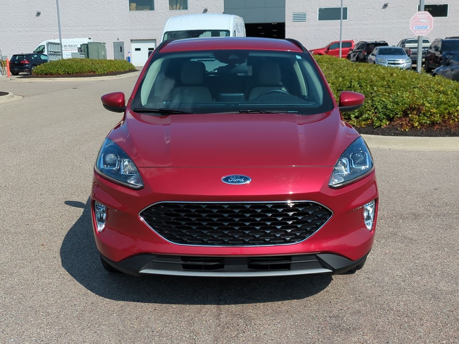 2020 Ford Escape SEL photo 3
