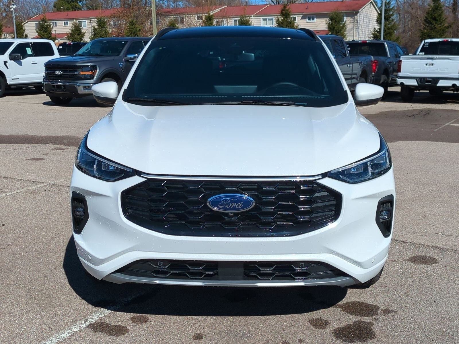 2025 Ford Escape Hybrid ST-Line Elite photo 3
