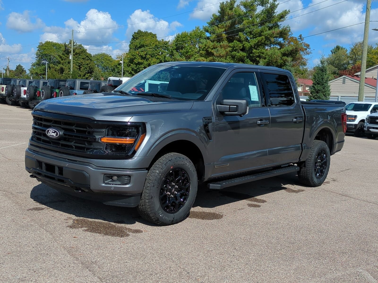 2025 Ford F-150 Tremor photo 4