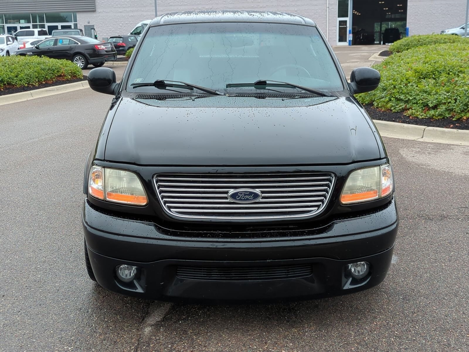 2003 Ford F-150 Harley-Davidson photo 3