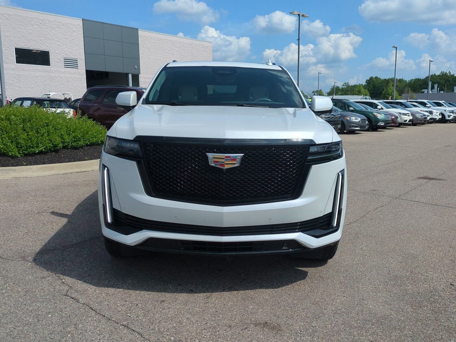 2021 Cadillac Escalade Sport Platinum photo 3