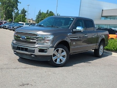 2019 Ford F-150 King Ranch Truck in Waterford, MI