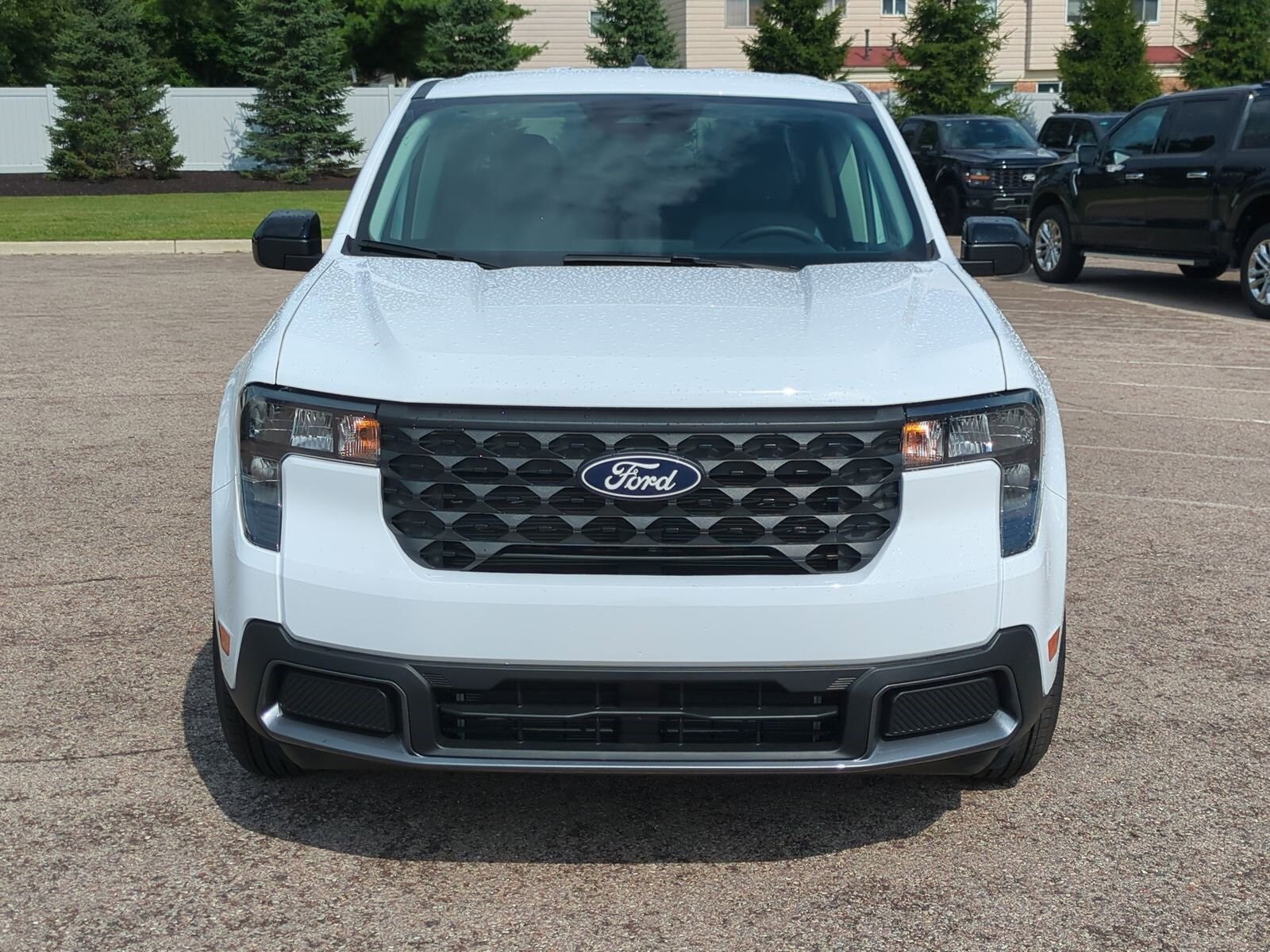 2025 Ford Maverick XLT photo 3