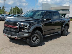 2020 Ford F-150 Raptor Truck in Waterford, MI