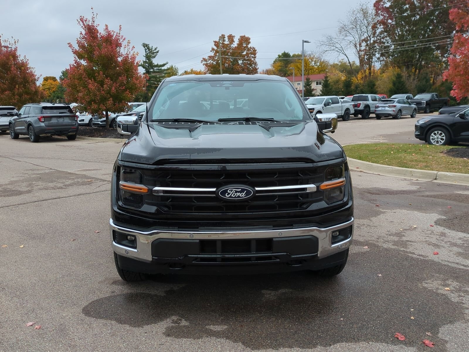2024 Ford F-150 XLT photo 3
