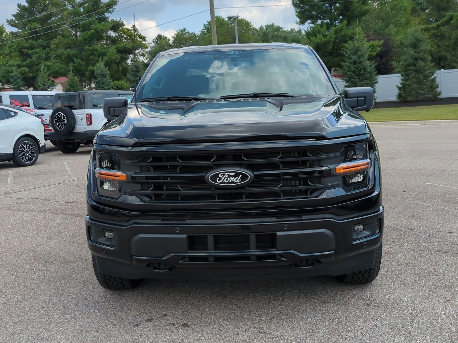 2025 Ford F-150 XLT photo 3