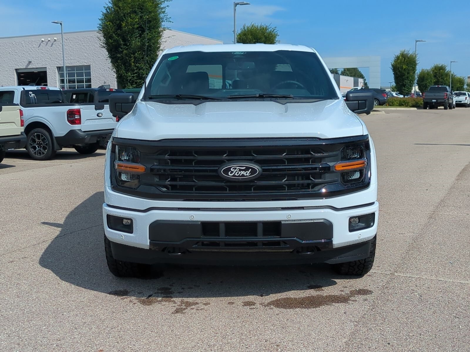 2025 Ford F-150 XLT photo 3