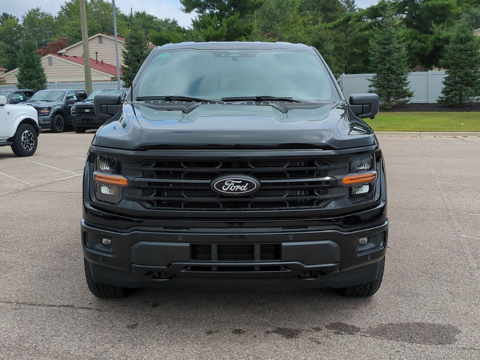 2025 Ford F-150 XLT photo 3