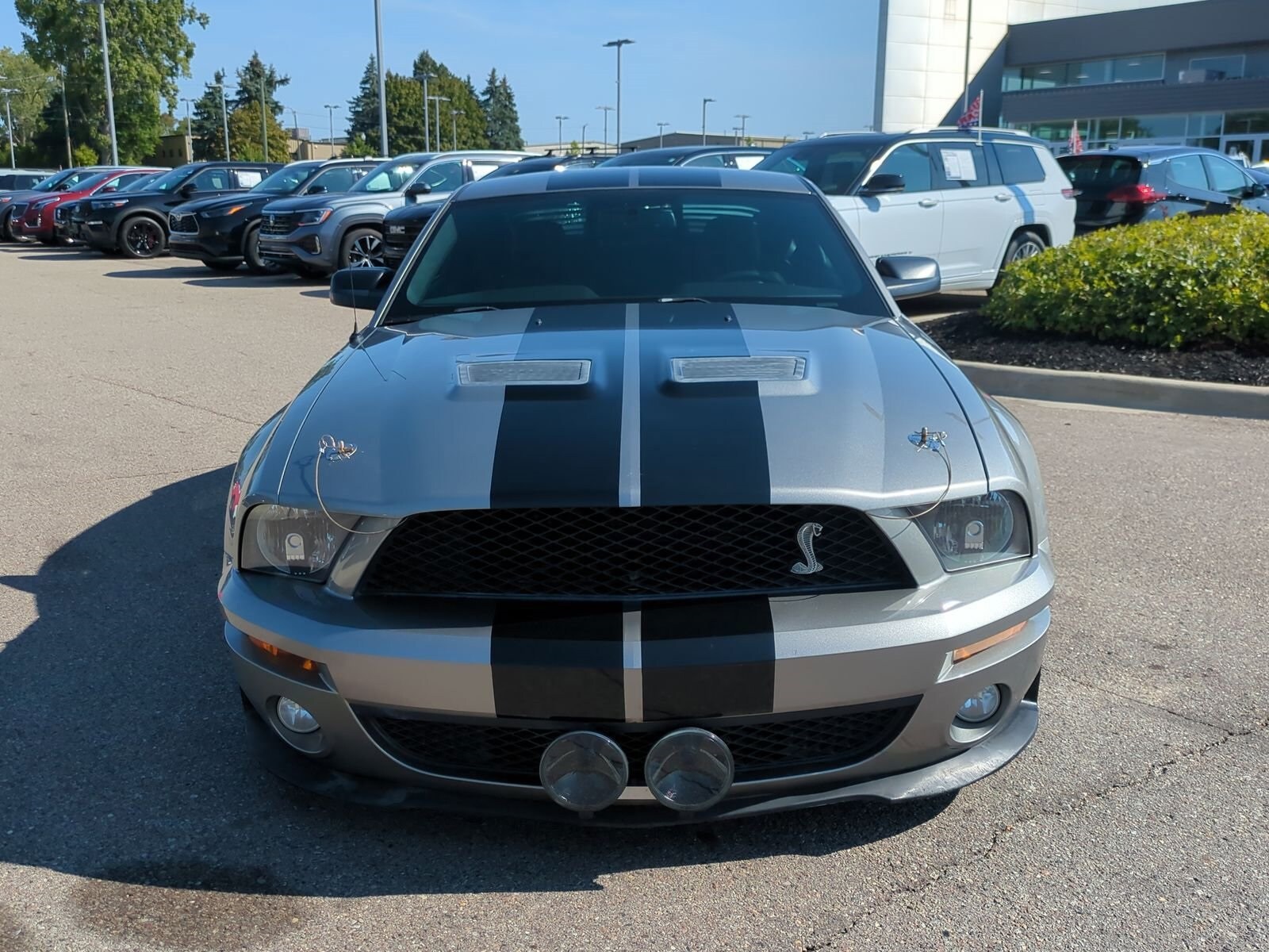 2008 Ford Mustang Shelby GT500 photo 3