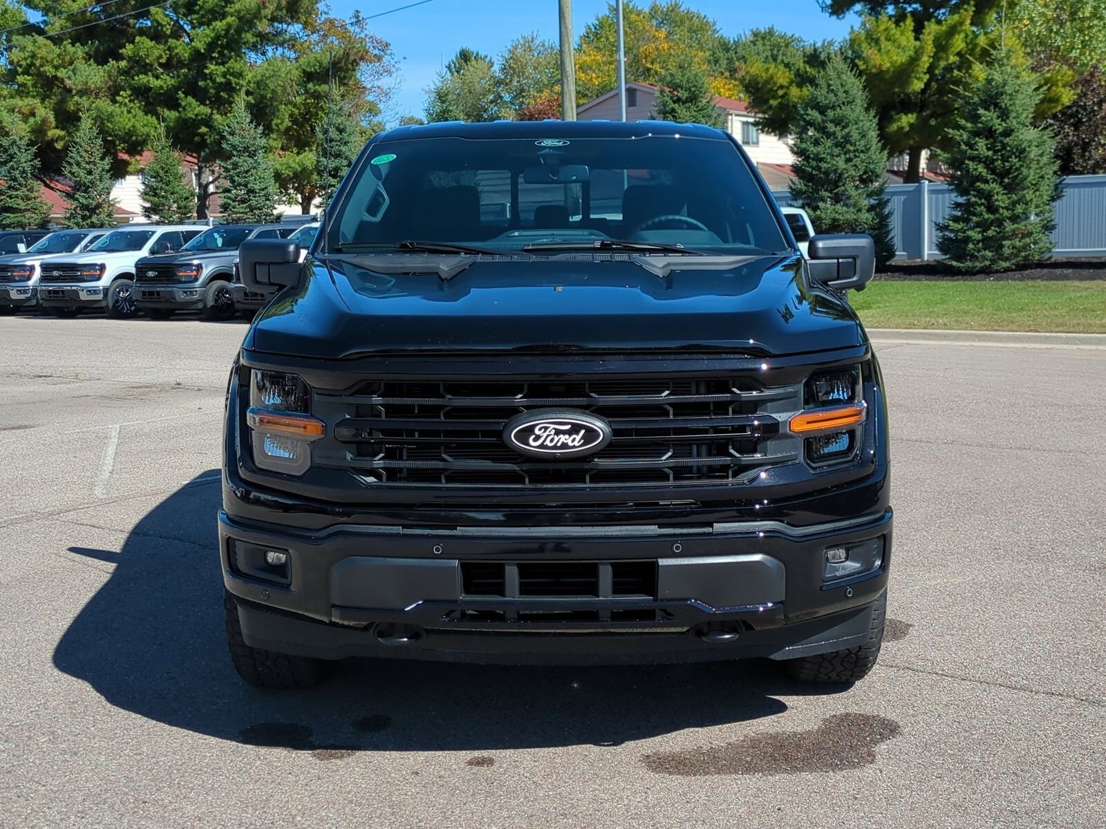2025 Ford F-150 XLT photo 2