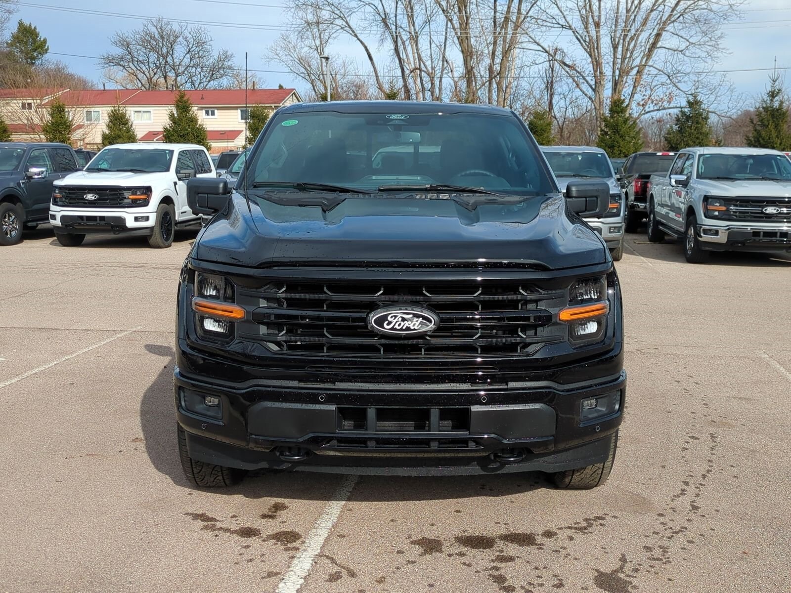 2025 Ford F-150 XLT photo 3