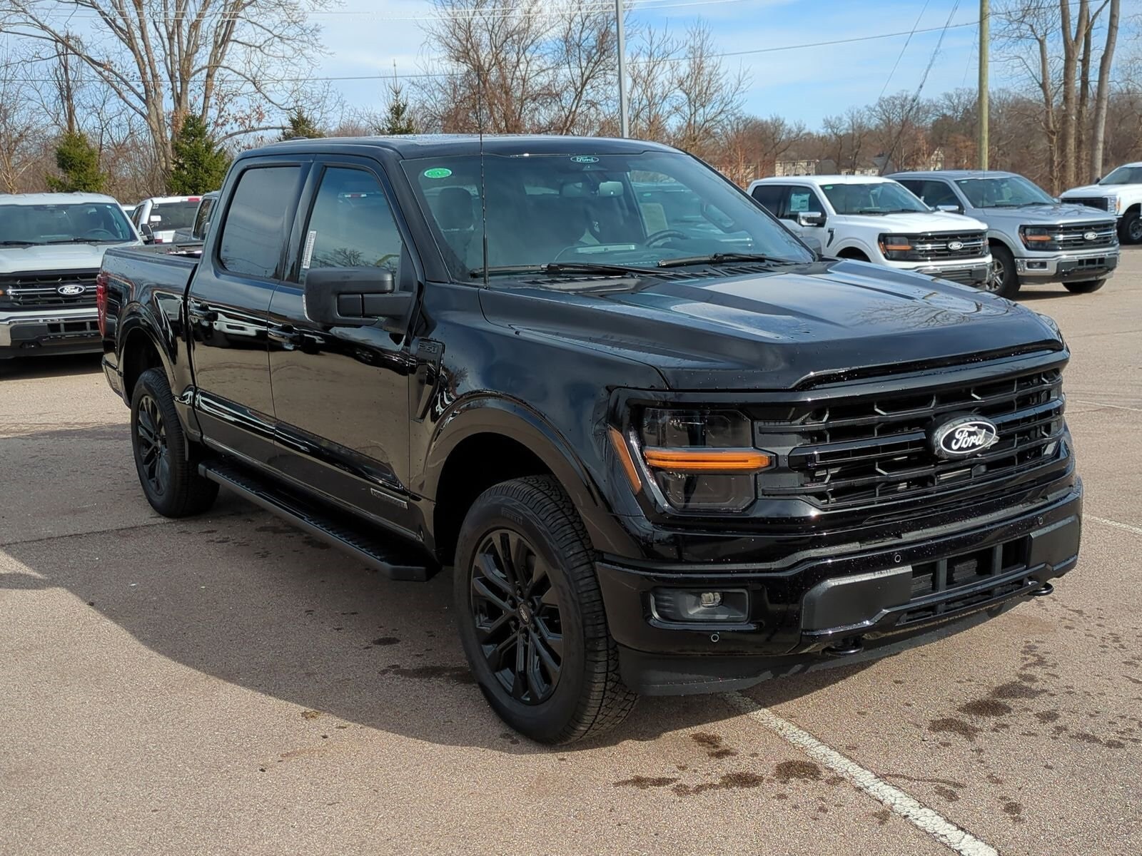 2025 Ford F-150 XLT photo 2