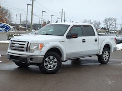 2009 Ford F-150 XLT Truck in Waterford, MI