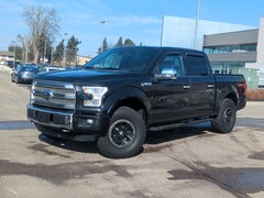 2015 Ford F-150 Platinum Truck in Waterford, MI