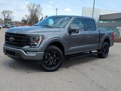 2023 Ford F-150 Platinum Truck in Waterford, MI