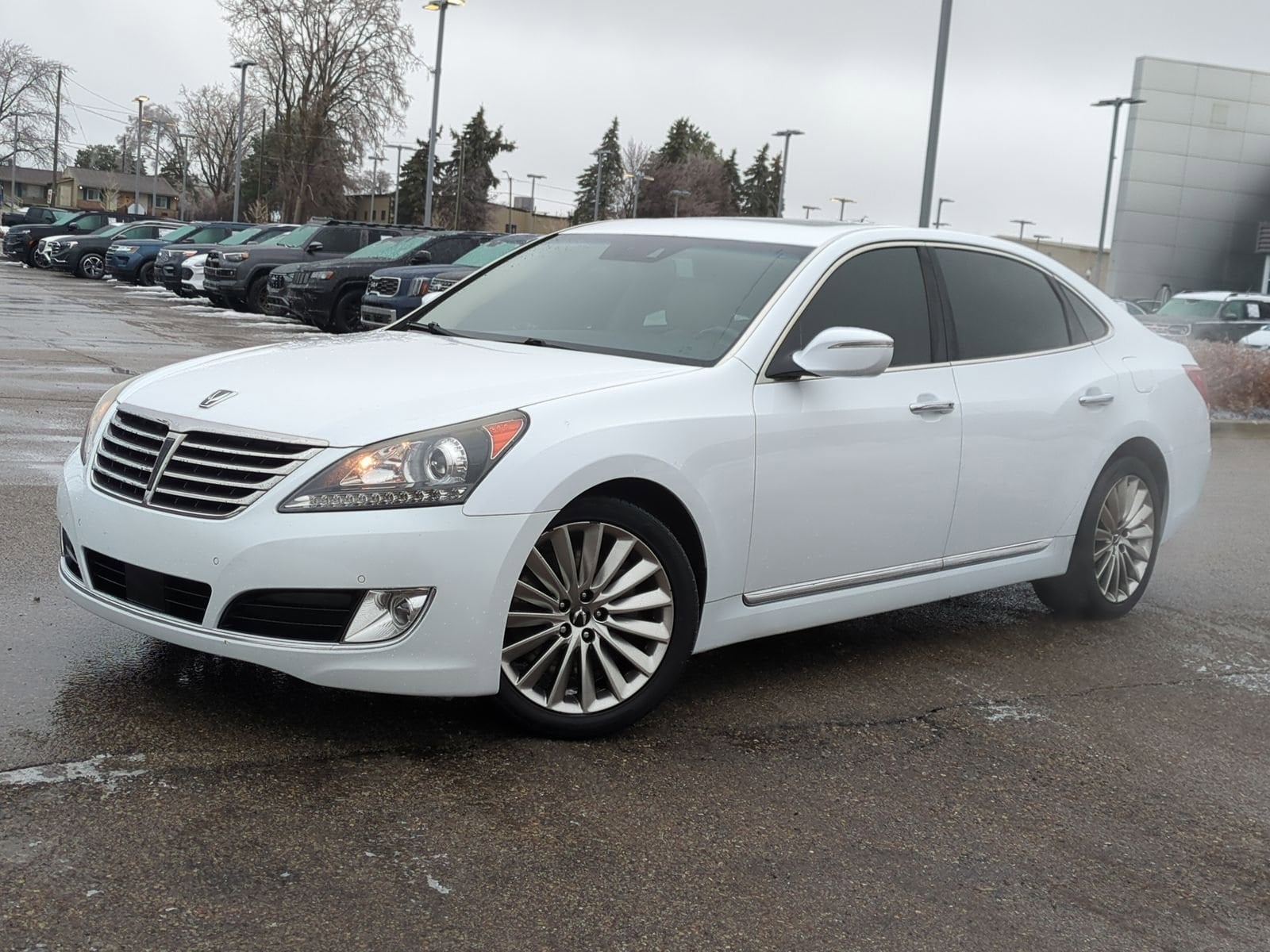 2014 Hyundai Equus Signature's photo