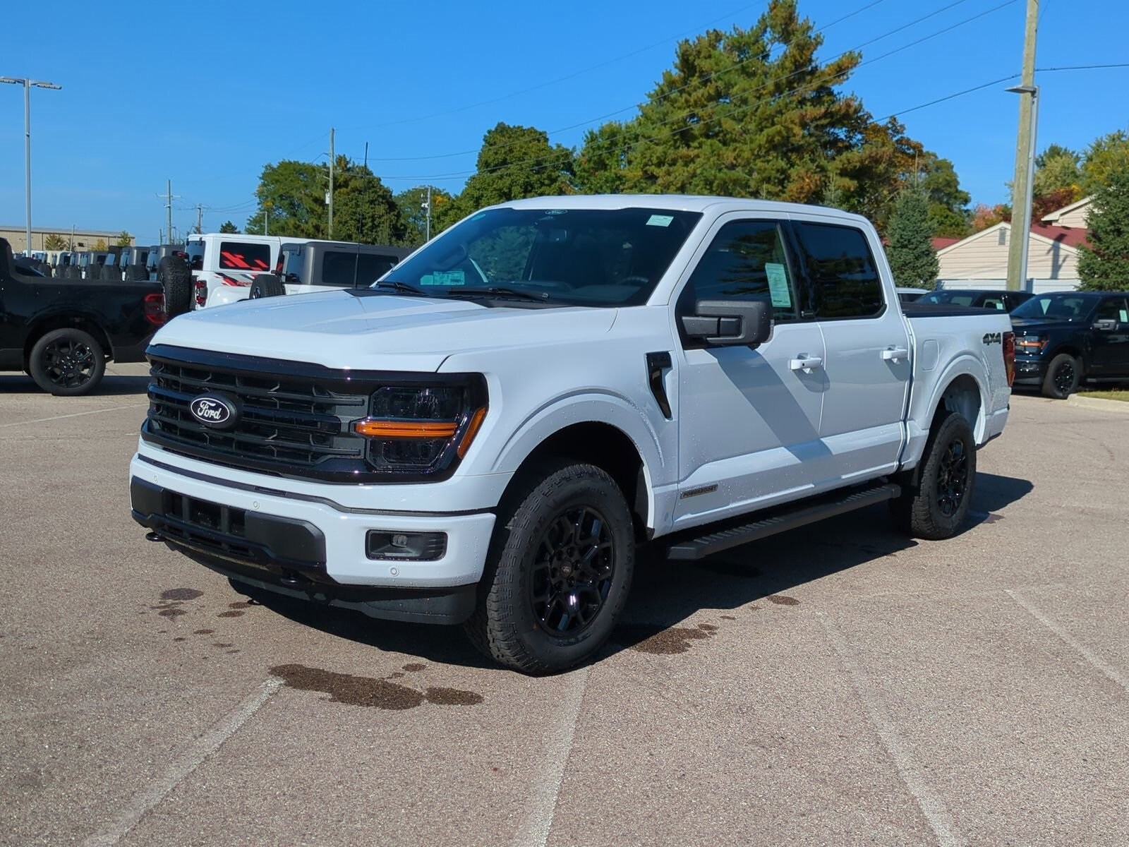 2025 Ford F-150 XLT photo 3