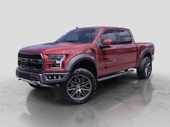 2019 Ford F-150 Raptor Truck in Waterford, MI