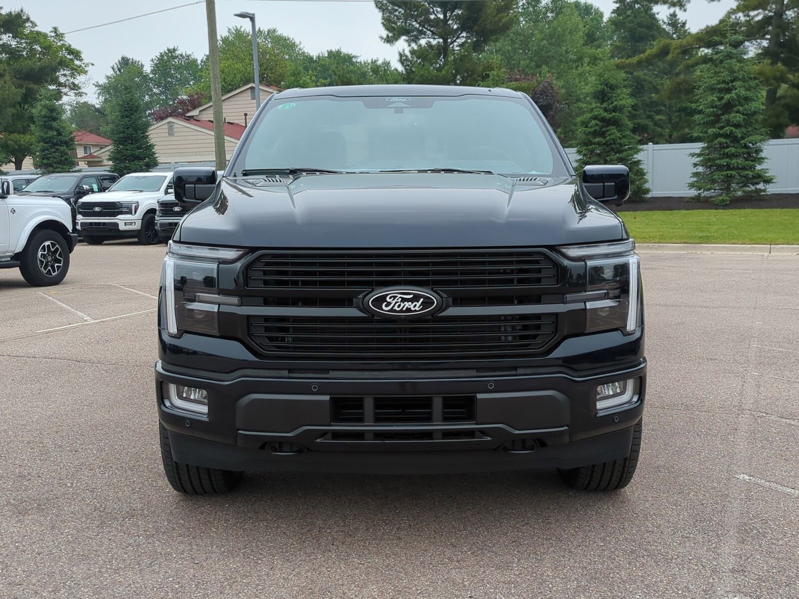 2025 Ford F-150 Platinum photo 3