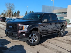 2019 Ford F-150 XL Truck in Waterford, MI