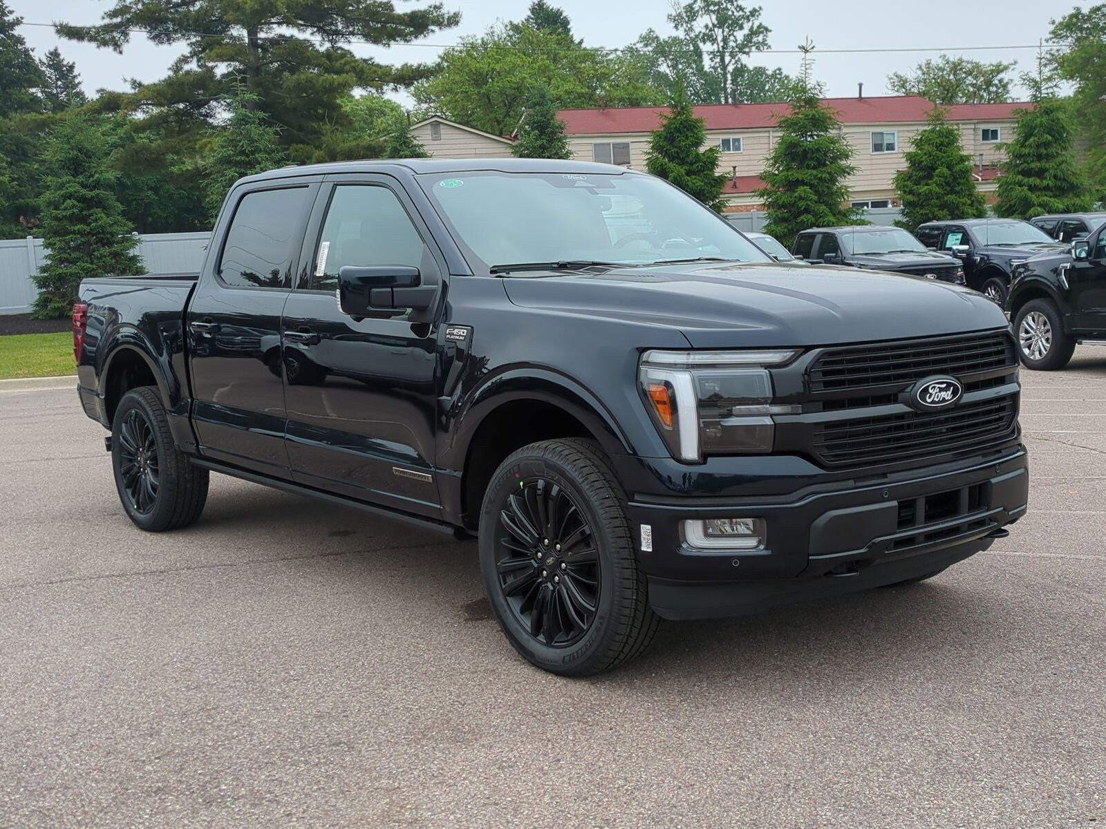 2025 Ford F-150 Platinum photo 2
