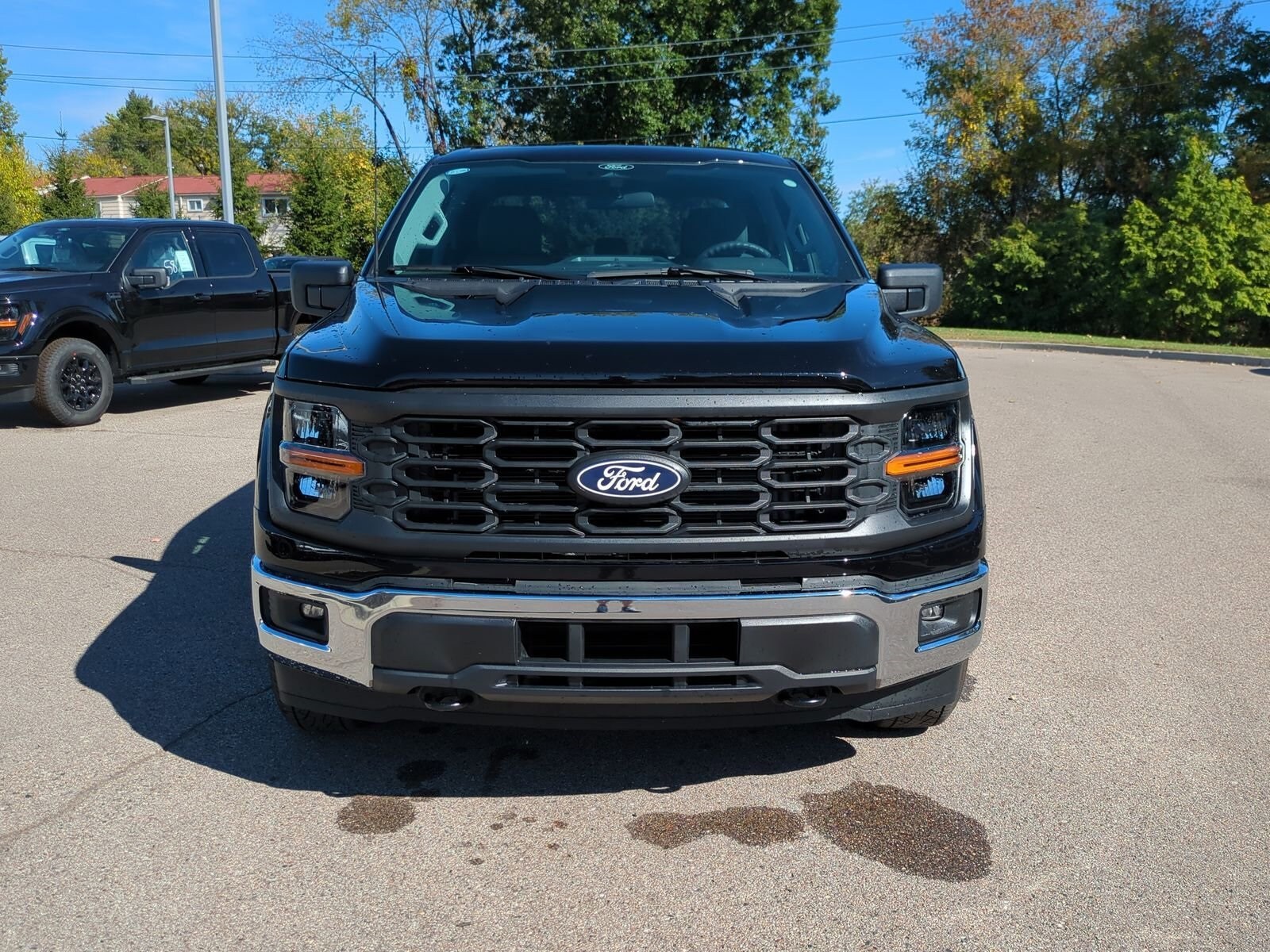 2025 Ford F-150 XL photo 3
