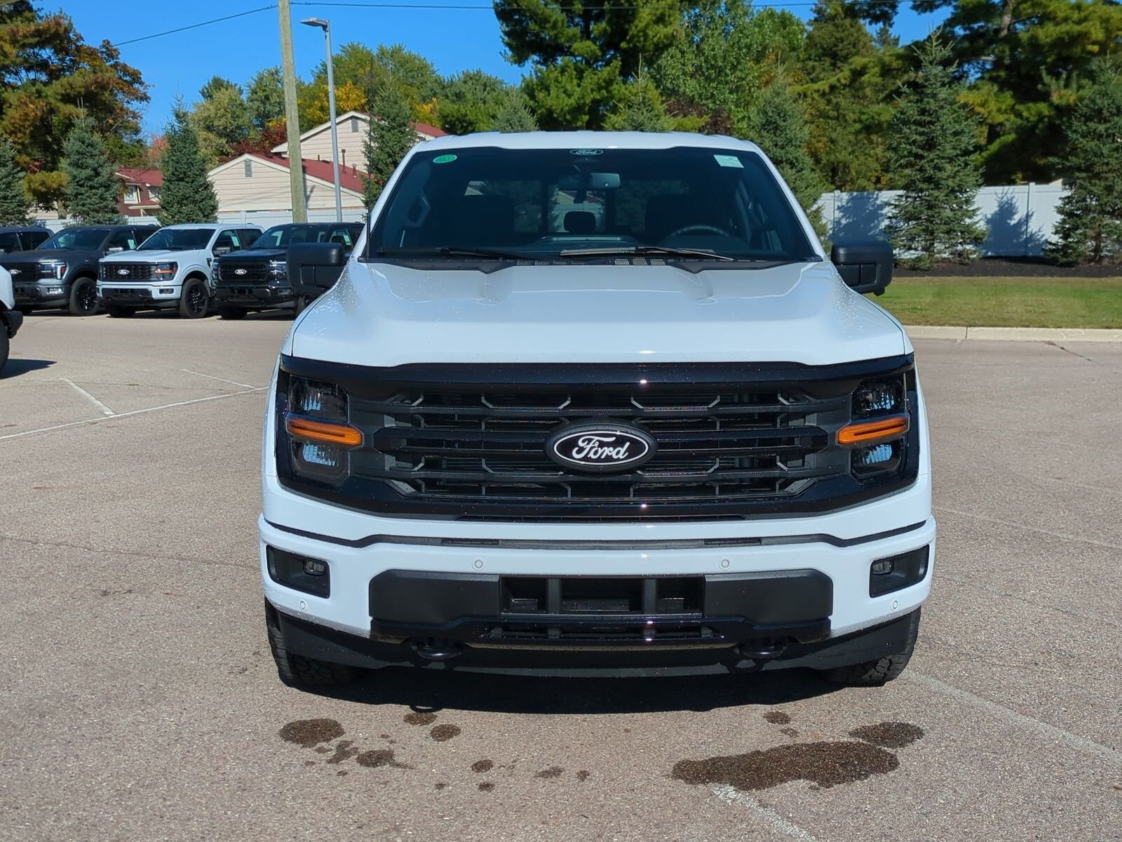 2025 Ford F-150 XLT photo 2