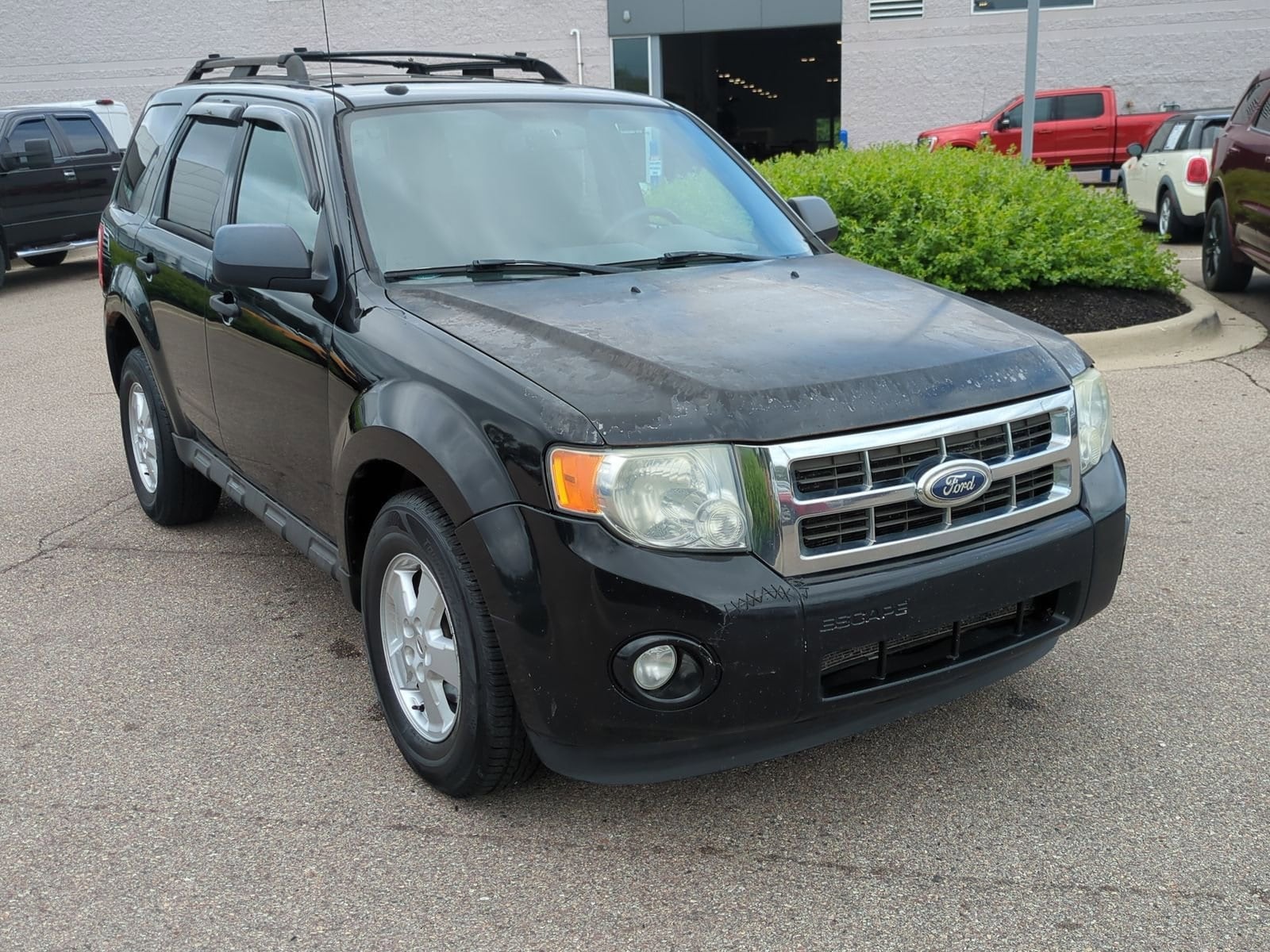 Used 2010 Ford Escape XLT with VIN 1FMCU0D78AKC06841 for sale in Waterford, MI